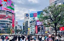 Tokyo Highlights Walk: Shinjuku & Shibuya for First Time visitors