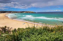 Sydney Icons Private Tour – Opera House, Bondi & More