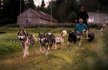 Rovaniemi: Drive Your Own Husky Team (Autumn) & BBQ