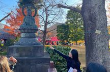 Tokyo Asakusa Temple & Shrine Walking Tour with Local Guide