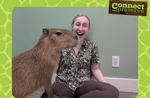 Experience Weekend at Tanganyika Wildlife Park