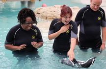 Experience Weekend at Tanganyika Wildlife Park