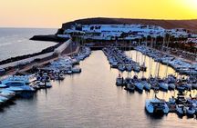 Gran Canaria Sunset Dolphin Watching Activity