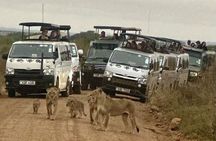 Nairobi National Park,Elephant Orphanage, Giraffe Center and Karen Blixen Museum