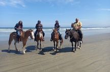 Ensenada Horseback Riding Adventure with Local Guide