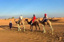 2 Day Desert Trip from Fez to Marrakech via Merzouga