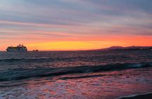 Conservation in Action Frees Sea Turtles Puerto Vallarta