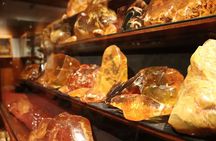 Small-Group Mystical Waipoua Forest Kauri Tour from Auckland