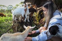 Big Island Ranch Day- ATV Tour, Goat Feeding, and Lei Making