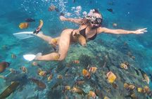 Sharing Snorkeling Experience to Manta Point in Penida