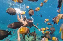 Sharing Snorkeling Experience to Manta Point in Penida