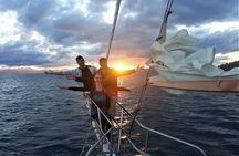 Eco Sailing Tour to Maori Rock Carvings on Lake Taupo