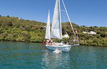 Eco Sailing Tour to Maori Rock Carvings on Lake Taupo