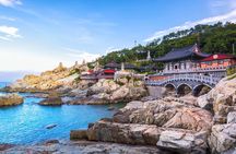 1-Day Busan Small Group Shore Excursion (Max12) for Cruise Guests