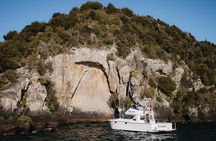 Kakariki Day Time Cruise to Maori Rock Carvings