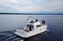 Kakariki Day Time Cruise to Maori Rock Carvings