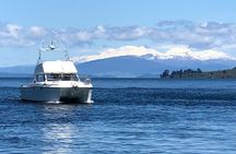 Kakariki Day Time Cruise to Maori Rock Carvings