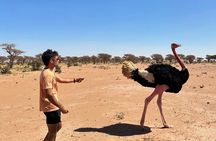 Private 3-Day Sahara Desert Tour from Marrakech to Erg Chigaga 