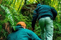 Private Half Day South Amami Jungle Adventure