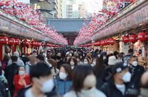 Tokyo Private Driving Tour: Customize Your Day with a Chauffeur