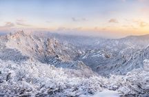 Seoraksan, Nami Island & Morning Calm Garden Day Tour from Seoul