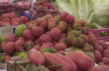 Farmers' Market Shopping with Cooking Class and Pasta Making