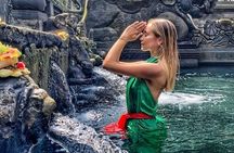 Discover Ubud: Temple, Rice Terrace, Waterfall and Monkey Forest