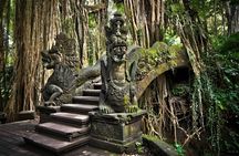 Discover Ubud: Temple, Rice Terrace, Waterfall and Monkey Forest