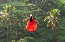 Discover Ubud: Temple, Rice Terrace, Waterfall and Monkey Forest