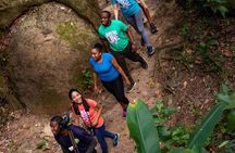 Guided Rainforest Hike on the Jacquot Trail – Castries, St Lucia