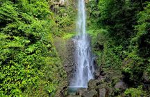 Dominica Adventure Hiking, Swimming, and Hot Springs Tour