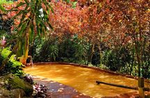 Dominica Adventure Hiking, Swimming, and Hot Springs Tour