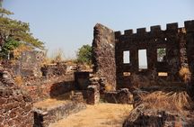 Roots River Cruise Explore Kunta Kinteh Island and Museum