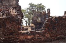 Roots River Cruise Explore Kunta Kinteh Island and Museum