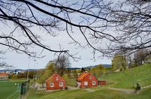 Oslo Private Walking Tour with a Local