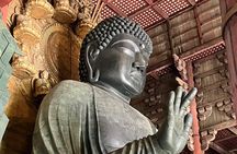 From Osaka: Private Nara Tour with Meet-Up at Your Hotel