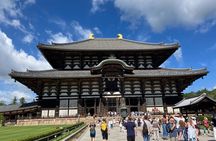 From Osaka: Private Nara Tour with Meet-Up at Your Hotel