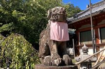 From Osaka: Private Nara Tour with Meet-Up at Your Hotel