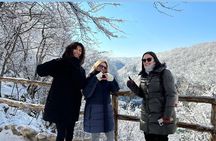 Rijeka Plitvice Lakes Day Trip, Simply, Safe and Comfortable 