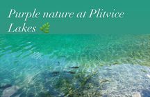 Rijeka Plitvice Lakes Day Trip, Simply, Safe and Comfortable 