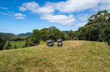  UTV 4wd Cassowary Falls and Daintree Rainforest Adventure tour 