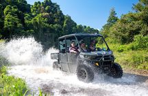  UTV 4wd Cassowary Falls and Daintree Rainforest Adventure tour 