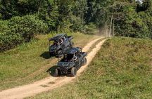  UTV 4wd Cassowary Falls and Daintree Rainforest Adventure tour 