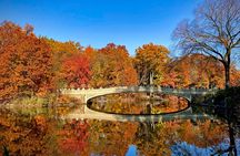 Welcome to New York: Broadway, 5th avenue, Central Park Tour