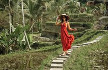 Half Day Ubud Private Tour - All Inclusive
