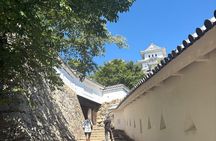 Experience Himeji Castle with a Local University Student Guide