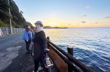 Osaka : Cycling Tour Private Seaside Ride Near Kansai Airport