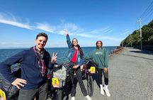 Osaka : Cycling Tour Private Seaside Ride Near Kansai Airport