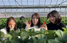 Kawagoe,Ikaho Tour frm Tokyo w/KobeBeef Lunch,Strawberry Picking