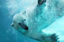 Hokkaido Asahiyama Zoo Blue Pond Ningle Terrace Day trip